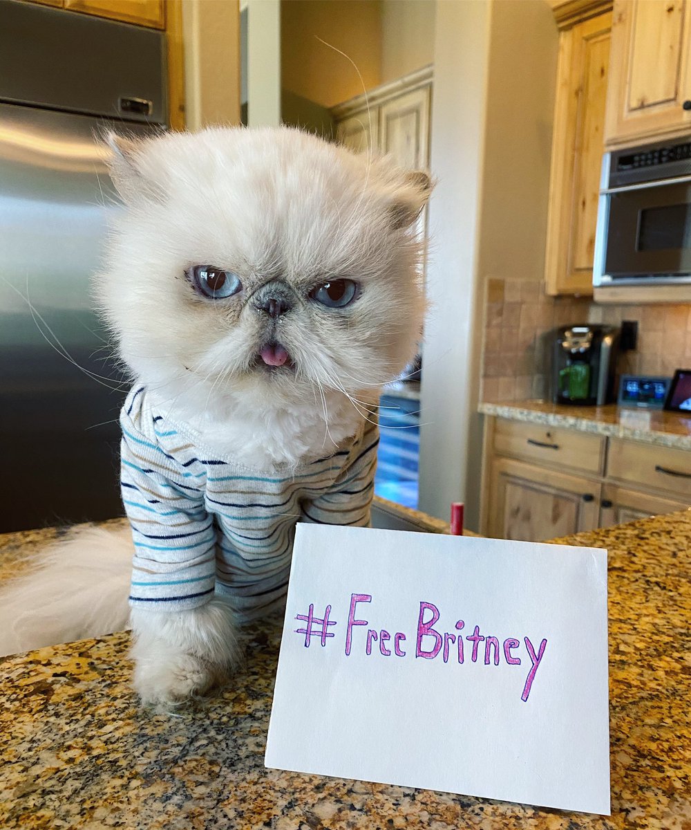RelatableShelby's tweet photo. #FreeBritney 💖 @britneyspears https://t.co/vNtTLSHrvD