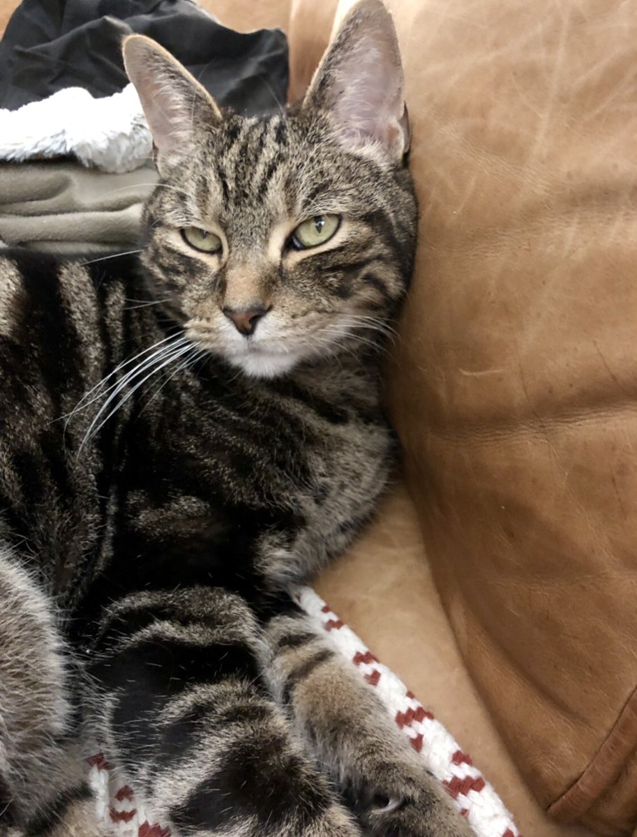 He is a whole mood, 24/7