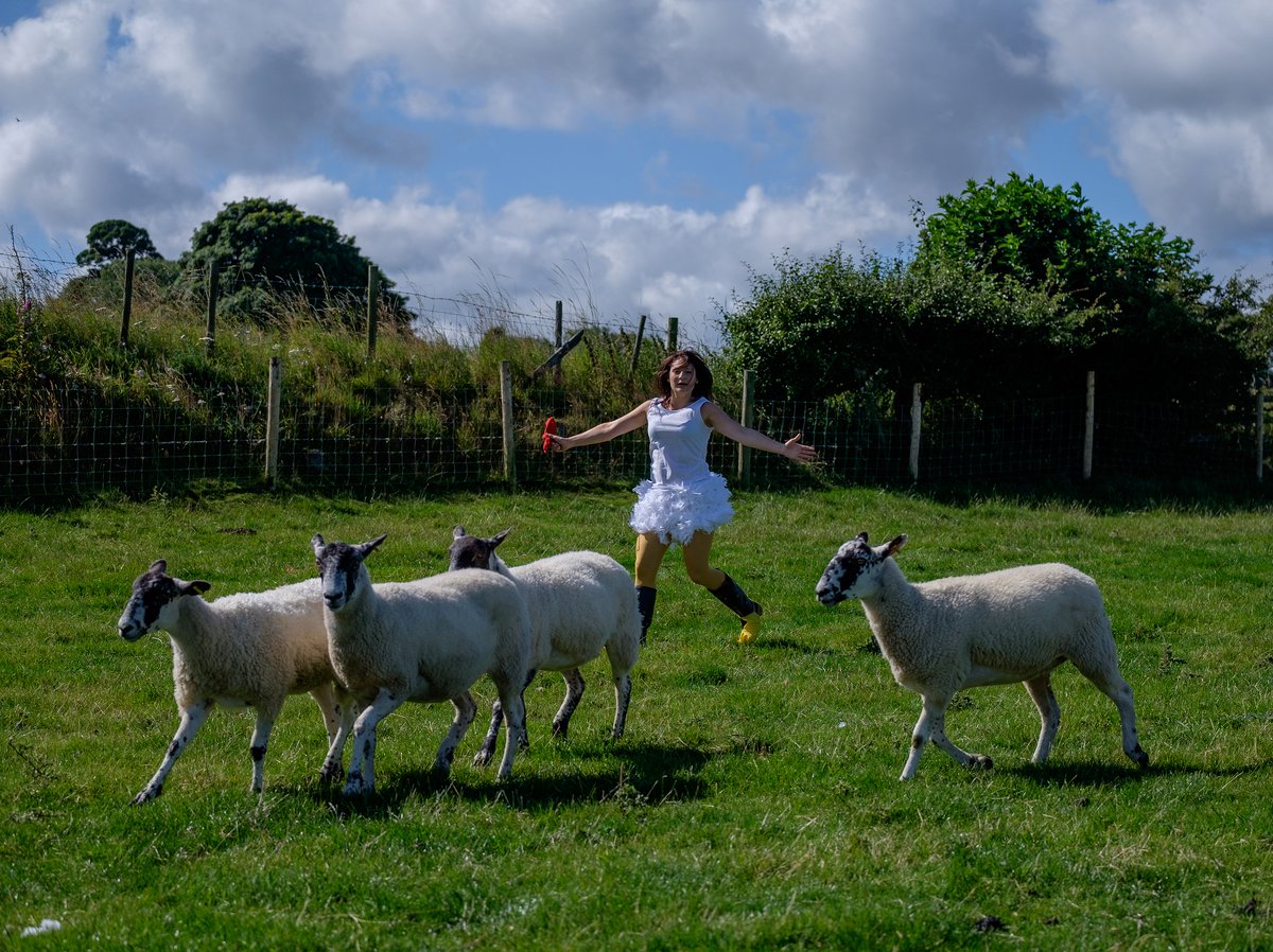 HTFarmAdventure's tweet image. Allow 100's of people on flights, going from and to wherever. Allow people in construction to carry on building "nice to have" extensions/home improvements, but THIS .. a hen party in the middle of the countryside, supporting our economy .. not allowed? #whataboutweddings