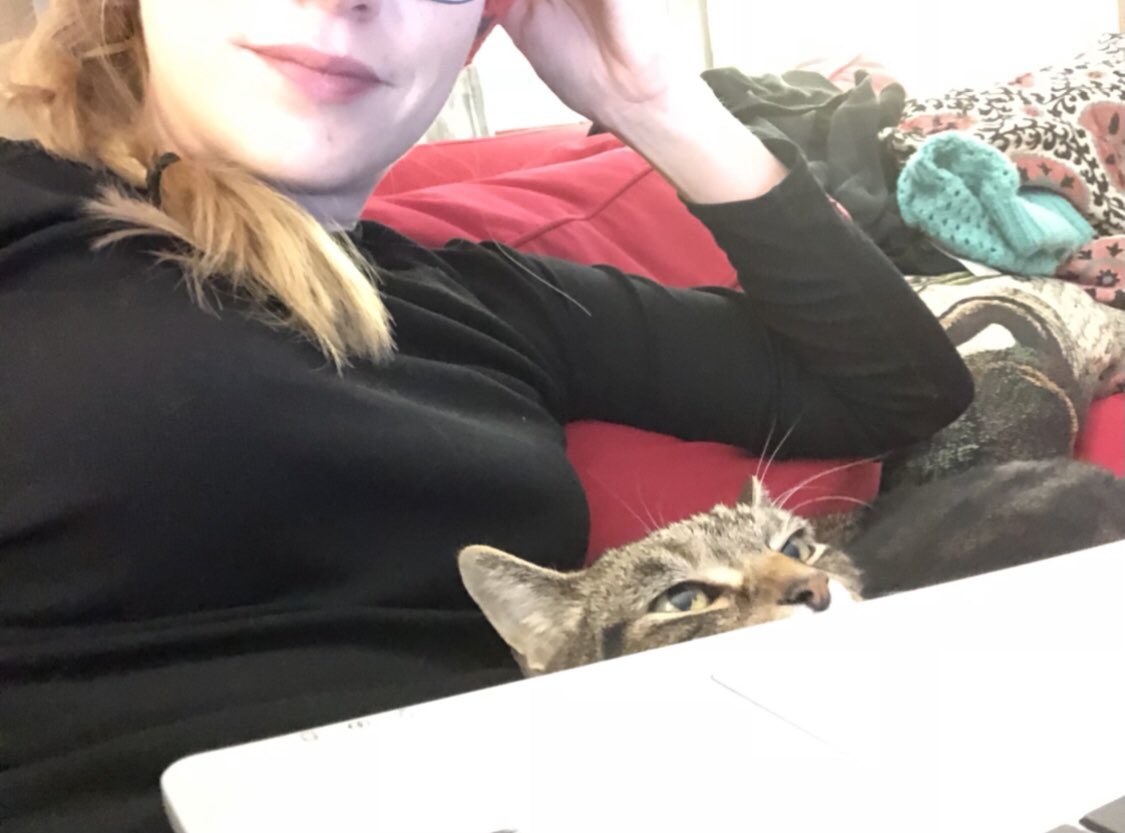 I hope Stix brightened your day a little (but, know that you certainly didn’t brighten his). I better get back to work before someone tells me my progress is unacceptable!