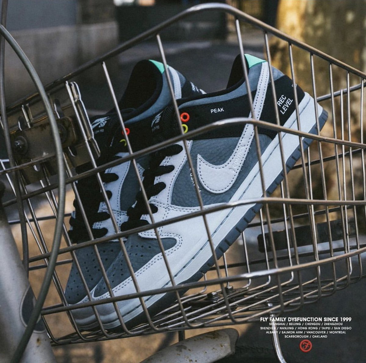 nike sb vancouver
