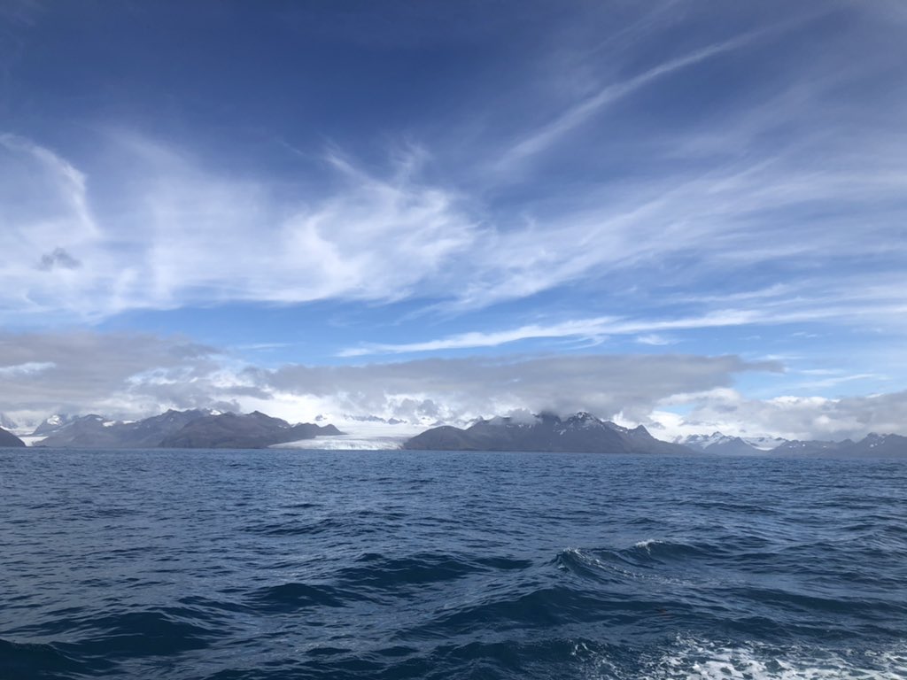 AliceMarzocchi_'s tweet photo. Stunning views of South Georgia! Beautiful day for acoustic calibrations and a CTD in Strømness 🐧🦭 #JC211 https://t.co/G8nMNgCKxC