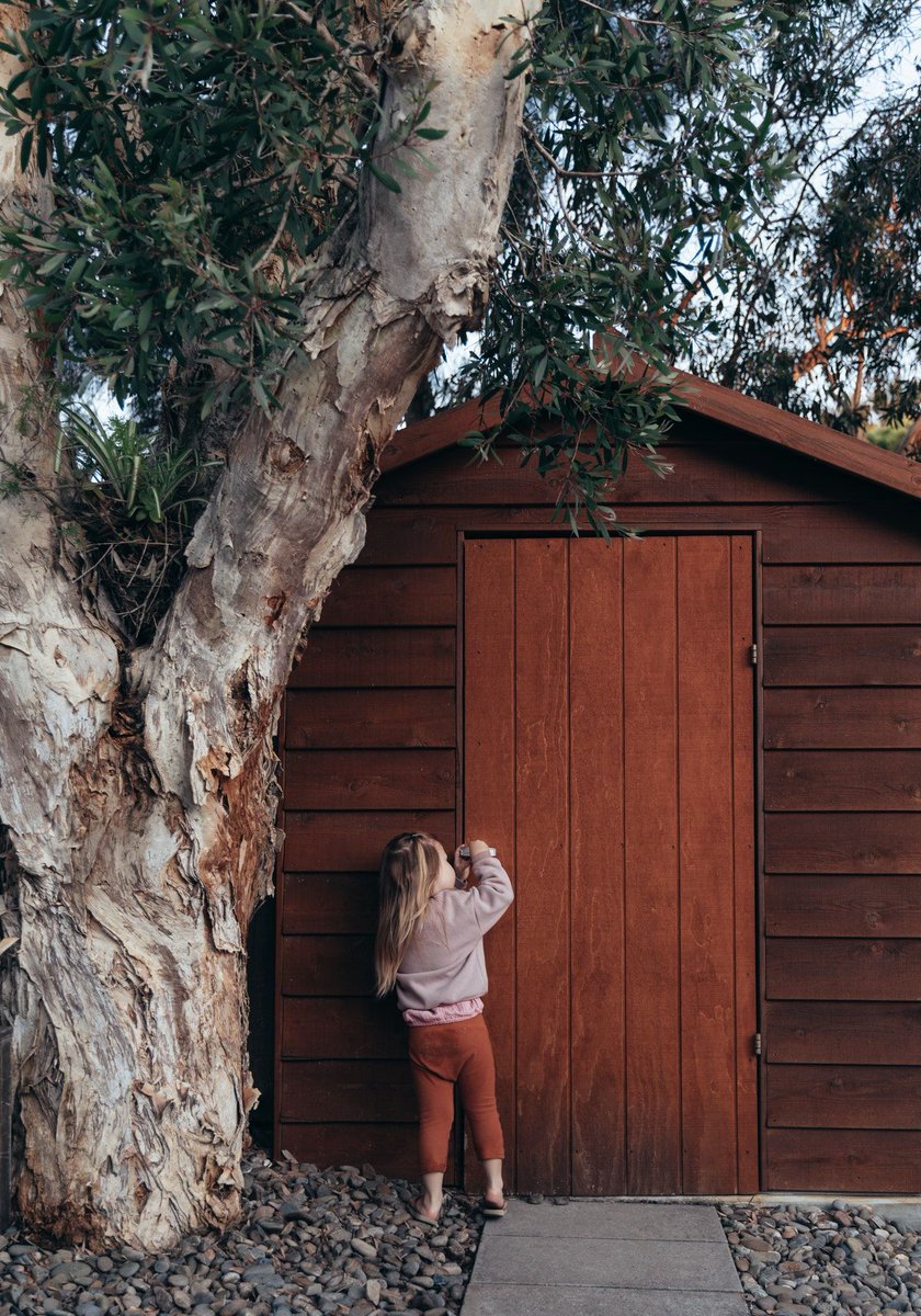 LINYTreeService's tweet image. Just a few tips on how to maintain trees if you're a homeowner and tree owner! #Longisland #Treeservice #Gardenlife buff.ly/2Z6ZDIQ