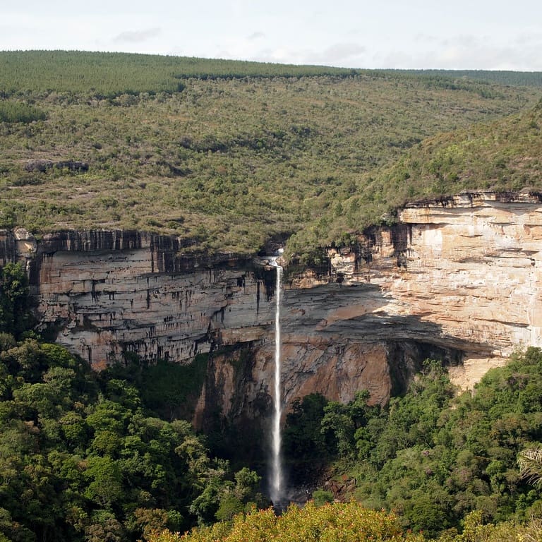 revelviajero's tweet photo. Sengés se ha convertido en el nuevo destino para turismo de aventura, debido a sus atracciones naturales.
Conoce más sobre Sengés: https://t.co/ImtG9Pc5mw
#senges #ecoturismo #ecoturismoenbrasil #brasil #viajes #viajarabrasil #parana #curitiba #turismodeaventura https://t.co/jVjs31o2gk