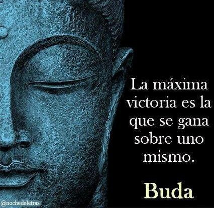 <a href="/elpsicologoMX/">El psicologo Mx</a> <a href="/PSICADRIANA1/">LIC. ADRIANA</a> <a href="/PsiLauraRuiz19/">Psi. Laura Ruiz</a> 

Frase Buda 

#Terapia #FelizJueves