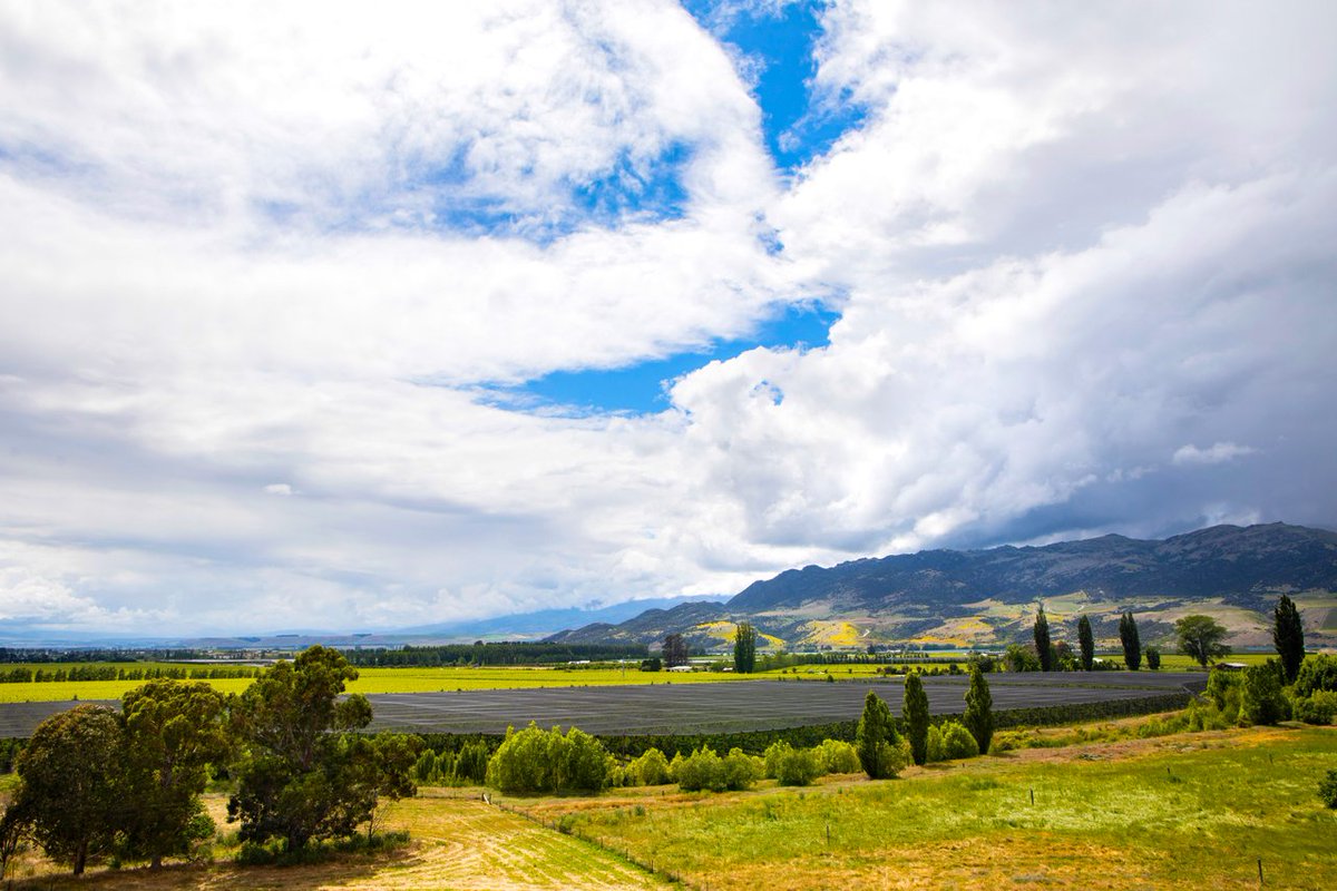 || Changes to Small Business Cashflow Loans Scheme ||

The government loan scheme is now available to more businesses for an extended period of time. 

View details here:
👉 ird.govt.nz/updates/news-f…