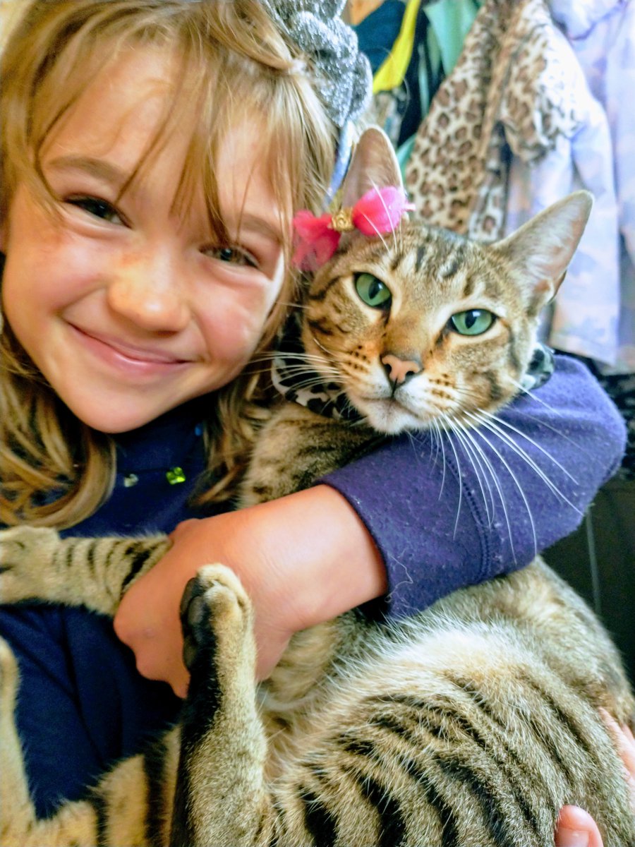 HarrisonLuan's tweet photo. Our snow leopard crazy, cat loving little dragon queen would LOVE A copy of Cat Walk to add to our collection of @JackieMorrisArt books. We met you in mumbles and you drew us a hatchling when she was 3 #bengalkitten 
#TellMeaDragon #QueenofTheSky
#TheSnowLeopard #TheLostSpells
¥ https://t.co/kQK544f4Ar