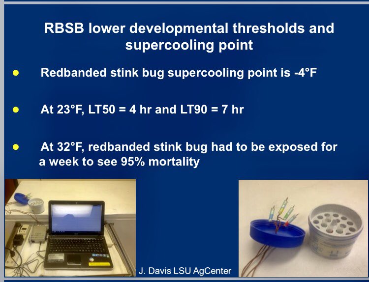 Sebe Brown tweet media