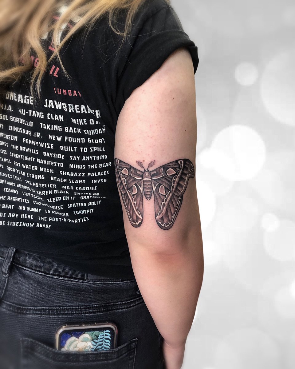 JennieTiesman's tweet photo. A cute moth for Paige https://t.co/a4r4gb240r