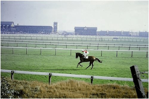 Castle Irwell also hosted England’s first ever evening horse race meeting in 1951 and the following year, Queen Elizabeth II celebrated her first winner as an owner after acceding to the throne. 