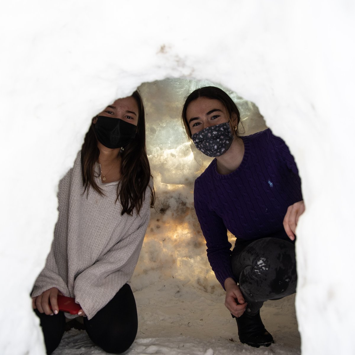 millbrookschool's tweet photo. Igloo-making 101. Cold temps, snowfall, and hours of hard work came together in the form of Millbrook's newest on-campus housing. #IGLOO #MillbrookMagic #coldhandswarmheart https://t.co/69lrbLF7kU