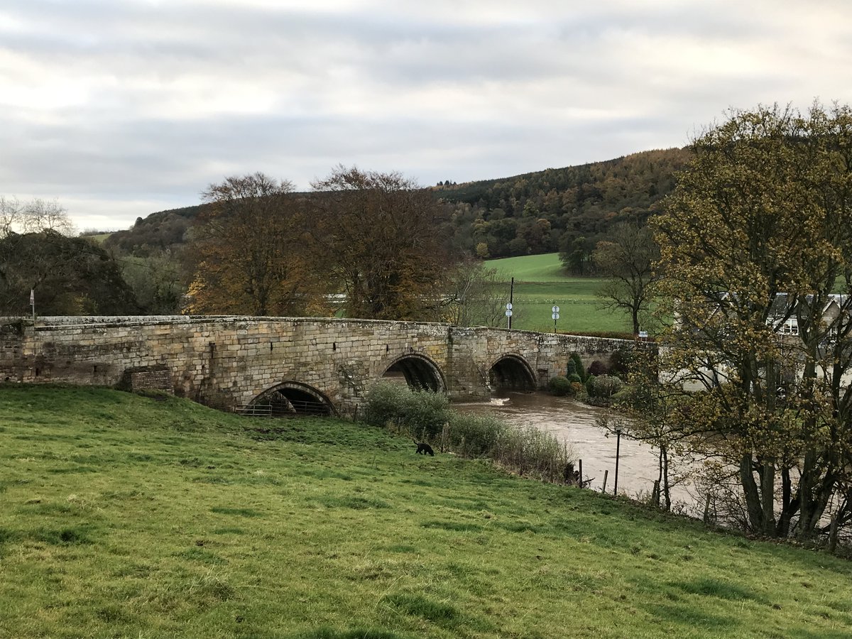 This is Dairsie Bridge. It is recorded as having been built by James Beaton, the Archbishop of St. Andrews, between 1522 and 1538. This makes it somewhere between 483 to 499 years old. https://canmore.org.uk/site/32943/dairsie-bridge