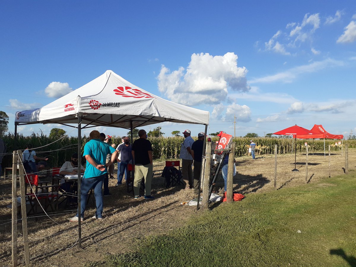lgsemillas's tweet photo. Ya estamos en el #TourdeMaiz en Rafaela (Sta. Fe.) Realizo por nuestro #LiderLG @MGabatta #MEGAGRO 👏👏
#SomosLG
#Deproductoraproductor https://t.co/cEkPGPVyMg