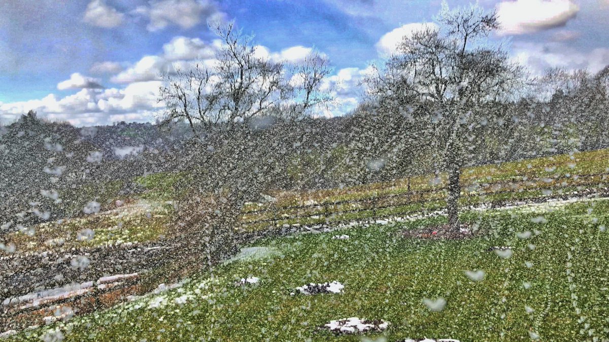 Simon Sublime tweet media