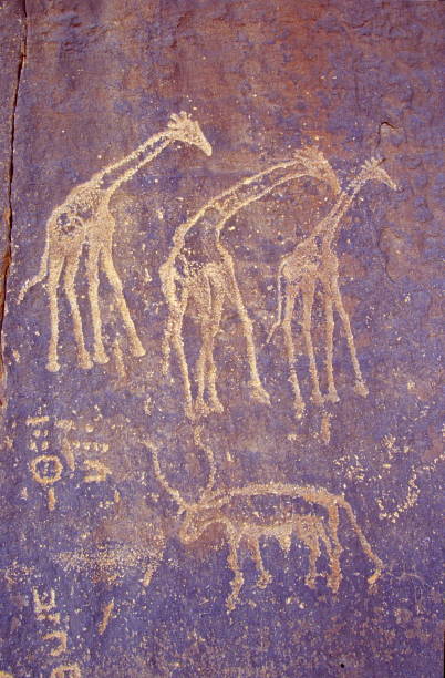 AlgeriaDiscover's tweet photo. Des graveurs préhistorique qui montre la période où le Sahara était encore la savane
نقوشات تبين الطبيعة الغير صحراوية والحيوانات التي كانت تسكن الصحراء قبل أن تكون قاحلة كما نعرفها اليوم
#tassili #algeria #Algerie #desert #sahara
#تاسيلي #الجزائر #الصحراء https://t.co/O6a1BMaEYp