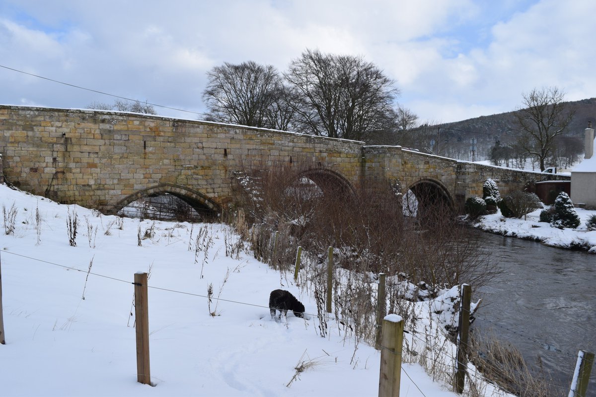 The bridge continues to carry considerable volumes of traffic. I have seen huge tractors, fire engines and large trucks crossing it on a regular basis. The bridge is between 483 to 499 years old.This was the bridge this lunchtime.