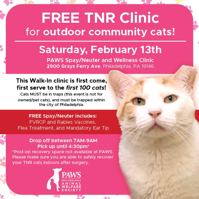 🚨 Calling all cat trappers! 🚨

PAWS is hosting a FREE spay/neuter clinic day for feral &amp; community cats at our Grays Ferry location!

The walk-in clinic this Saturday is first-come, first-serve to the first 100 cats.

Learn more → phillypaws.org/events/free-tn…