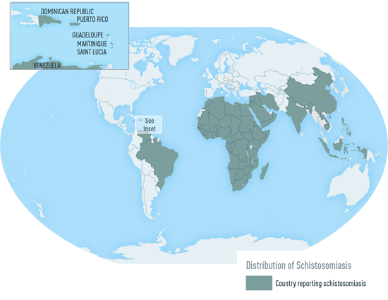 JacobPhD's tweet photo. Seeking biologists who study snail vectors of schistosomes (e.g. Biomphalaria, Bulinus, Oncomelania) and who live in countries where schistosomiasis is endemic. Is that you? Do know of a colleague you can recommend? Let me know.
🐌 https://t.co/BKyvHkuLBh