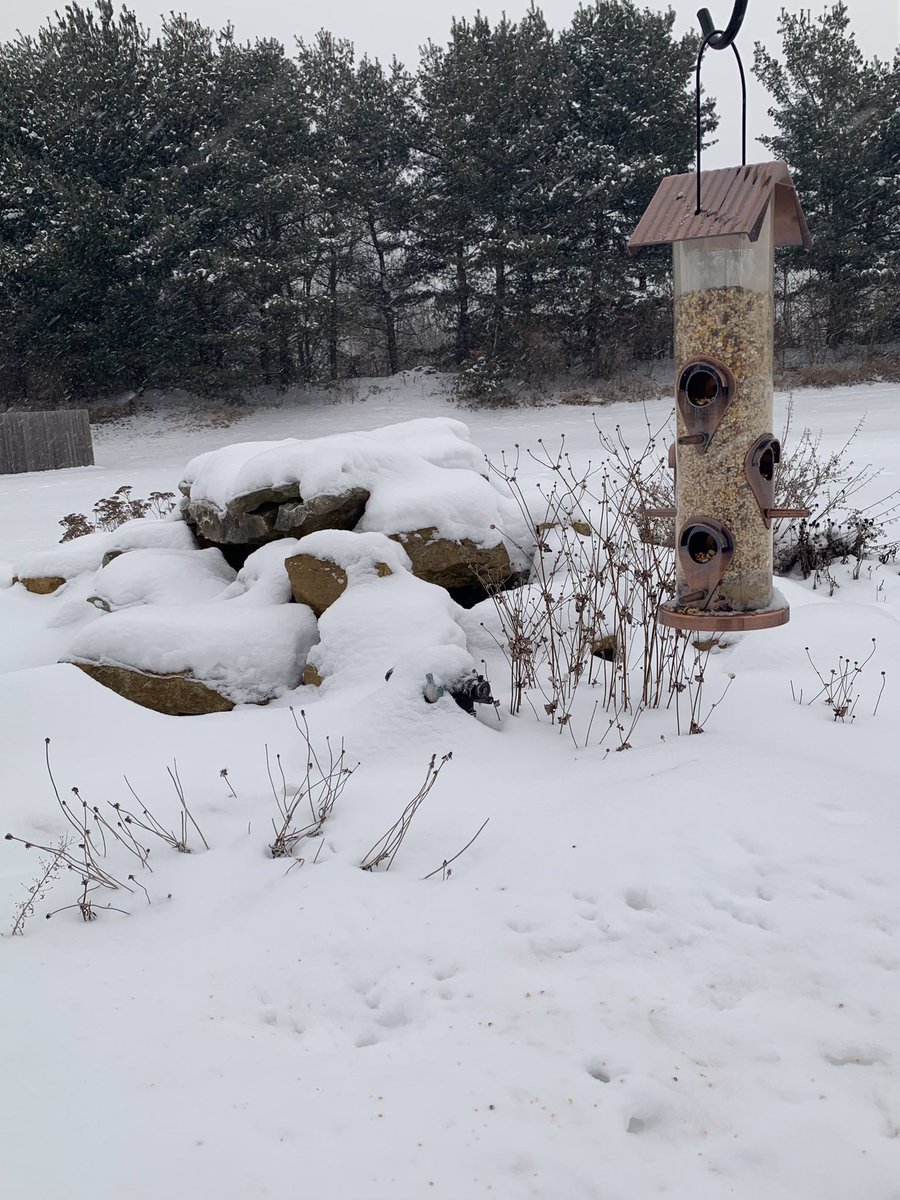 ChrissyMorton_'s tweet image. Unofficial snow measurement: Based on my wearing ankle-high snow boots, we have about calf-level snow measurement so far in Violet Township #OhioWx #StillSnowing ❄️❄️❄️