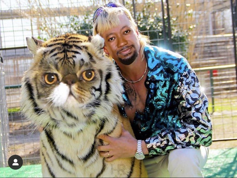 eruptingpandas's tweet image. dude we’d be the best squad out there you kidding me?