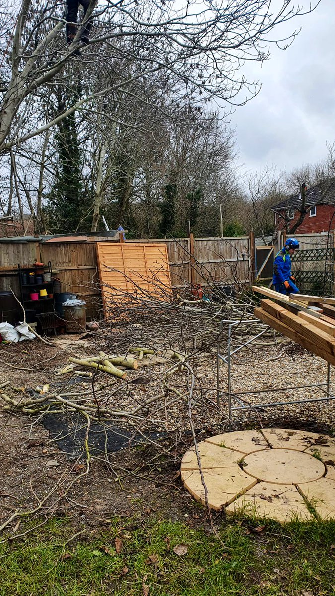 PrimaryTreeSurg's tweet image. #Workexperiencestudent OB is developing confidence around a busy site; he’s making a useful contribution &amp;amp; developing essential mindset, skills &amp;amp; knowledge for the role of a skilled Groundsman #learnonthejob #neverstoplearning #treesurgery #treesurgeonintraining @STIHL_GB