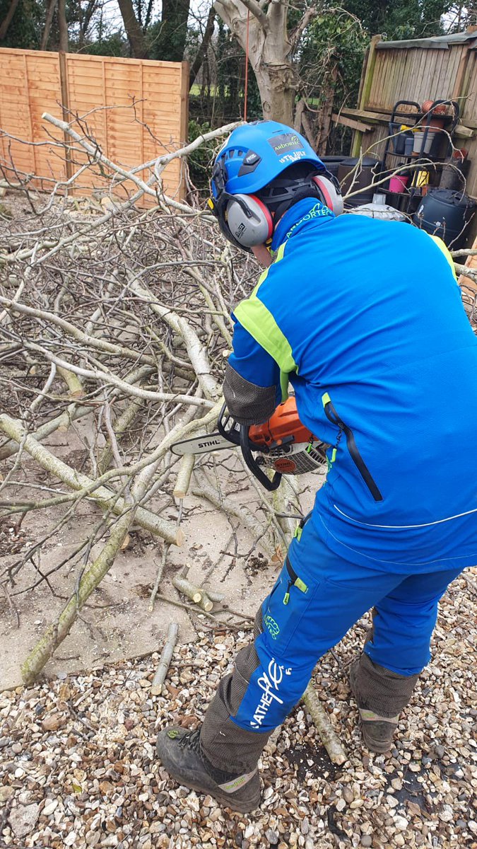 PrimaryTreeSurg's tweet image. #Workexperiencestudent OB is developing confidence around a busy site; he’s making a useful contribution &amp;amp; developing essential mindset, skills &amp;amp; knowledge for the role of a skilled Groundsman #learnonthejob #neverstoplearning #treesurgery #treesurgeonintraining @STIHL_GB