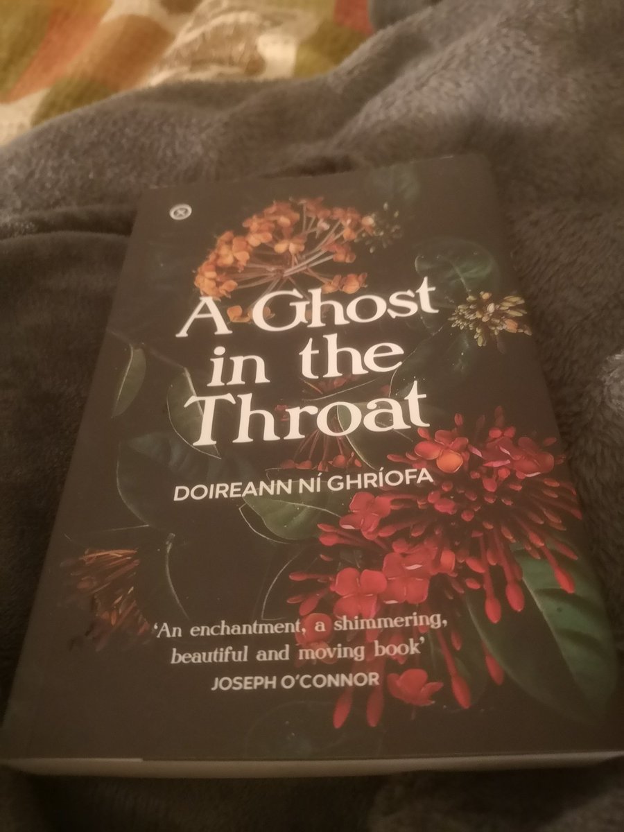 10. A Ghost in the Throat by Doireann Ní Ghríofa.I think this will stay with me for awhile. The writing style is incredible and I admire how honest she is about herself. Maybe because I'm not a mother I find the milk imagery strange but nonetheless incredible dedication.