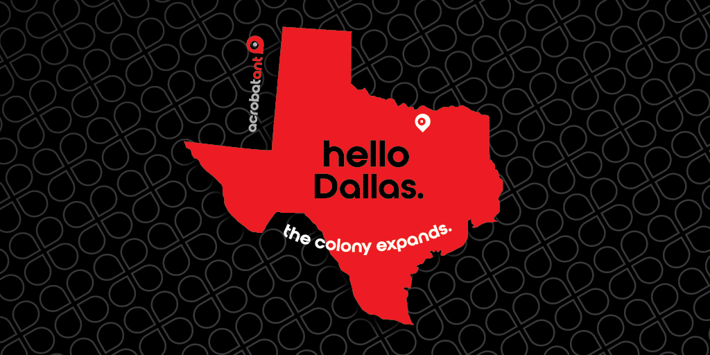 AcrobatAnt tweet media