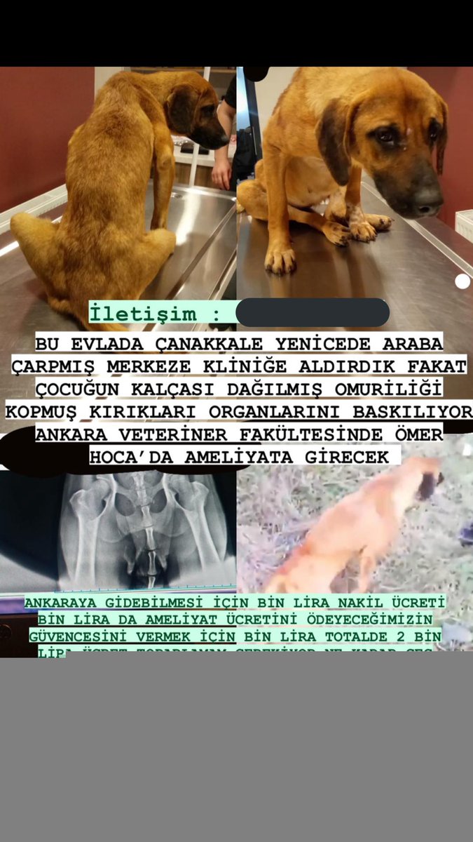 ❌GÖREN HERKESİN PAYLAŞMASINI RİCA EDİYORUM DURUM ACİLDİR