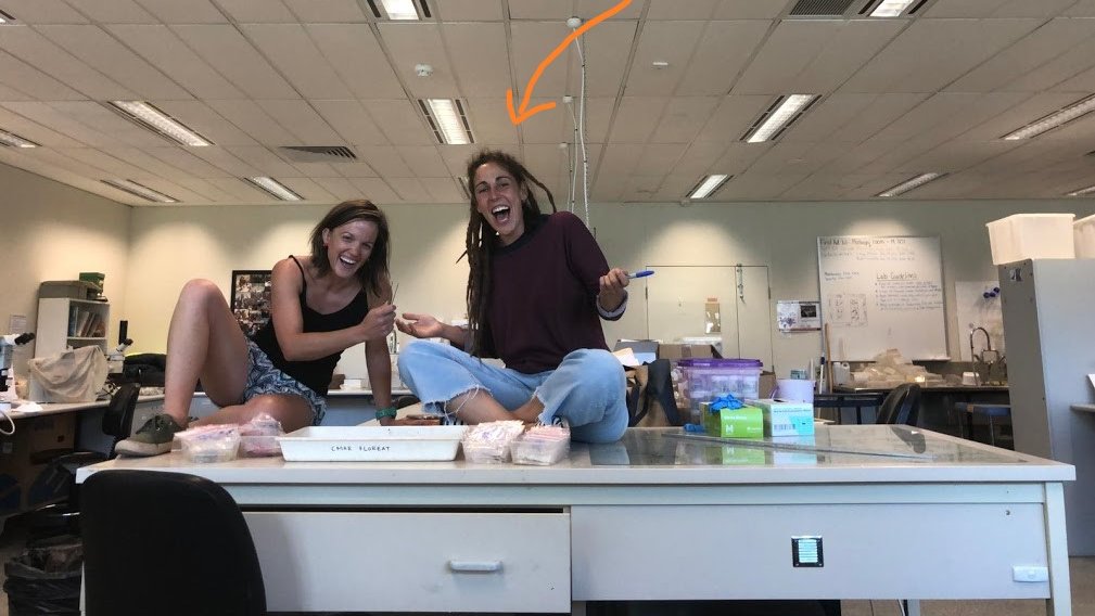 Sad that most of the unglamorous, but vital, work in Science gets done by volunteers. 
Yet any info we learn to protect our vulnerable ecosystems = so many life-sustaining benefits.
800 of my PhD samples got done cos of this resilient lady <a href="/Vegieshark/">Marta Sanchez Alarcon</a> #seagrasssisters #gratitude