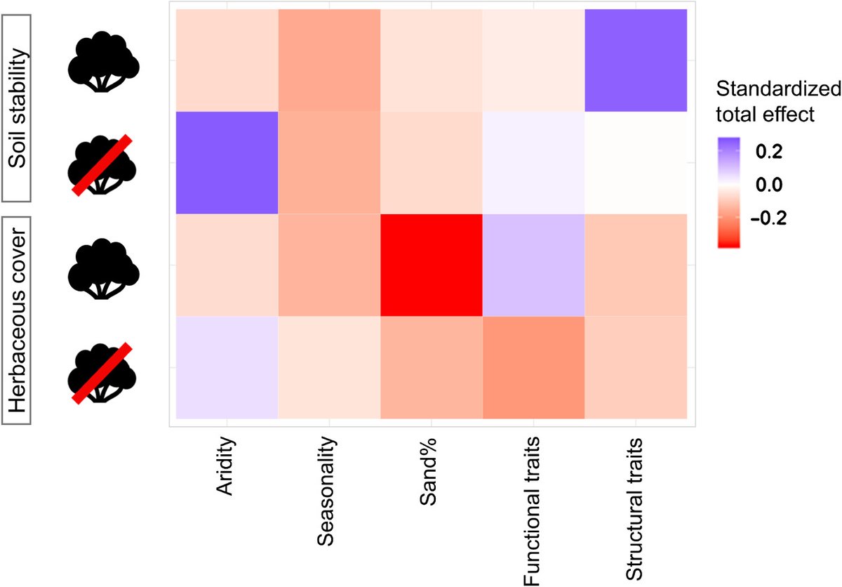 New Phytologist (@newphyt) on Twitter photo Remove or retain: ecosystem effects of woody encroachment and removal are linked to plant structural and functional traits <a href="/DJ_Eldridge/">David John Eldridge</a> <a href="/jingyiding1/">Jingyi_arideco</a> nph.onlinelibrary.wiley.com/doi/10.1111/np… Remove or retain: ecosystem effects of woody encroachment and removal are linked to plant structural and functional traits <a href="/DJ_Eldridge/">David John Eldridge</a> <a href="/jingyiding1/">Jingyi_arideco</a> nph.onlinelibrary.wiley.com/doi/10.1111/np…
