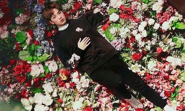 nctfuIIsun's tweet photo. haechan as sho proves he is a character created by ghibli 🥺 absolutely ethereal https://t.co/PEjbKGD0FI
