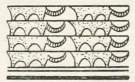 Finally, Caspian tiger. The real thing, and depicted on Neolithic Iranian pottery. I just love how tiger has disappeared in the zig zag of the flowing water. And only its tail is still "realistic"...And is that leopard depicted underneath in the same way? It's tiger's tail...