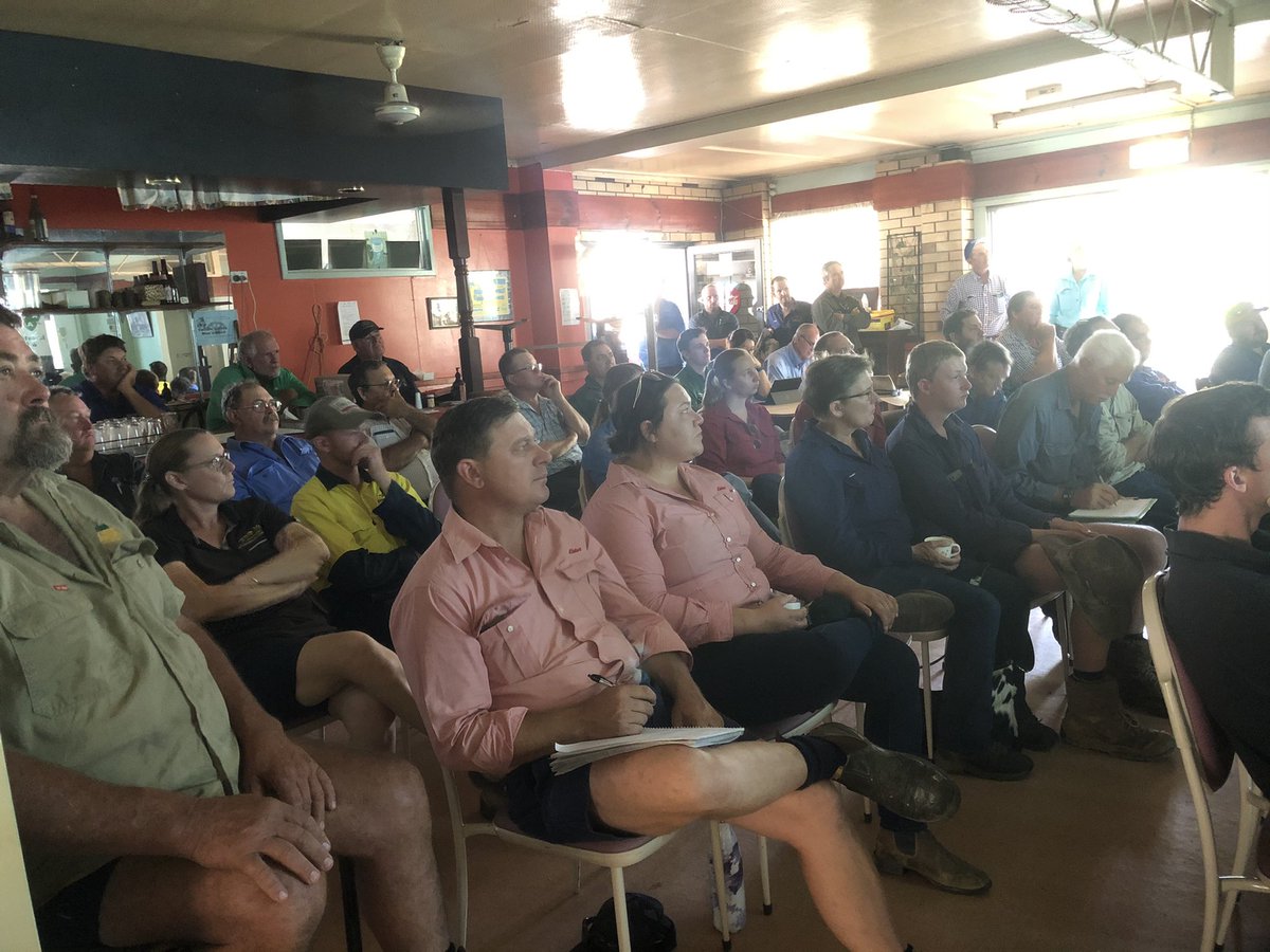 onthepulseAUS's tweet photo. Huge interest in #mungbeans at Jambin roadshow this morning - standing room only!!

Doug Sands kicking off with agronomy research results - nitrogen use/rooting depth/nutrition

#northernpulsecheck https://t.co/ys9g5LIcgi