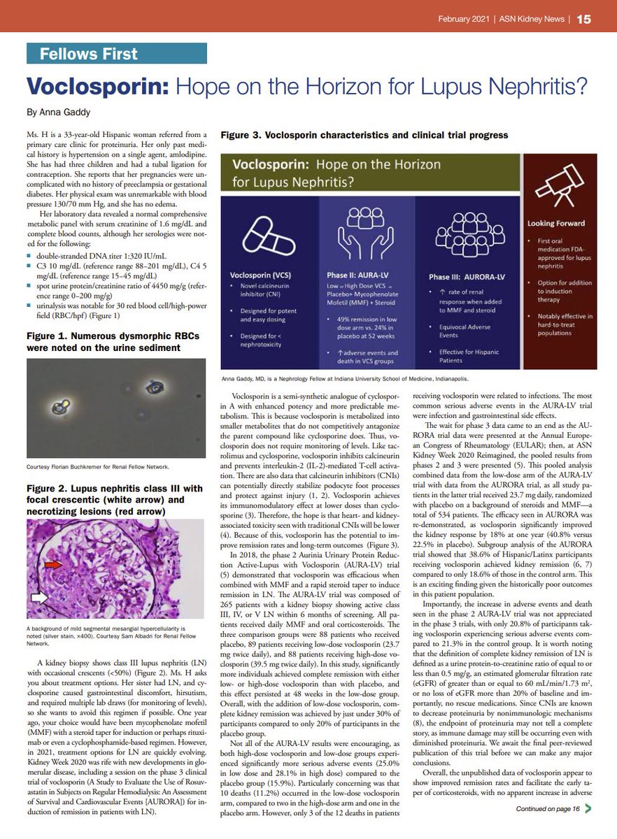 edgarvlermamd's tweet photo. Voclosporin: Hope on the Horizon for #Lupus Nephritis❓ from @KidneyNews February 2021 issue #Nephpearls
👉 https://t.co/oUMtmCsL1v https://t.co/FxZfMFmLBv