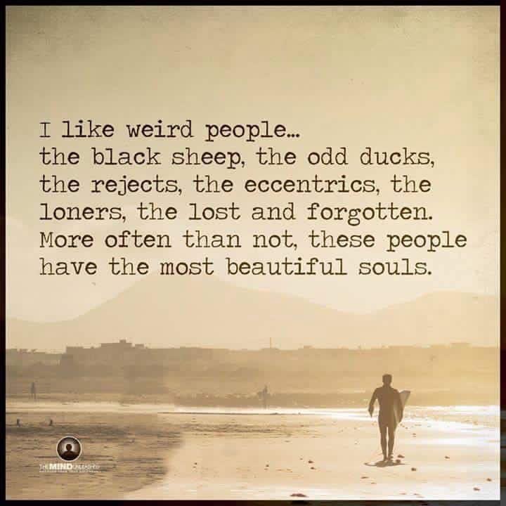 shellldav's tweet image. 