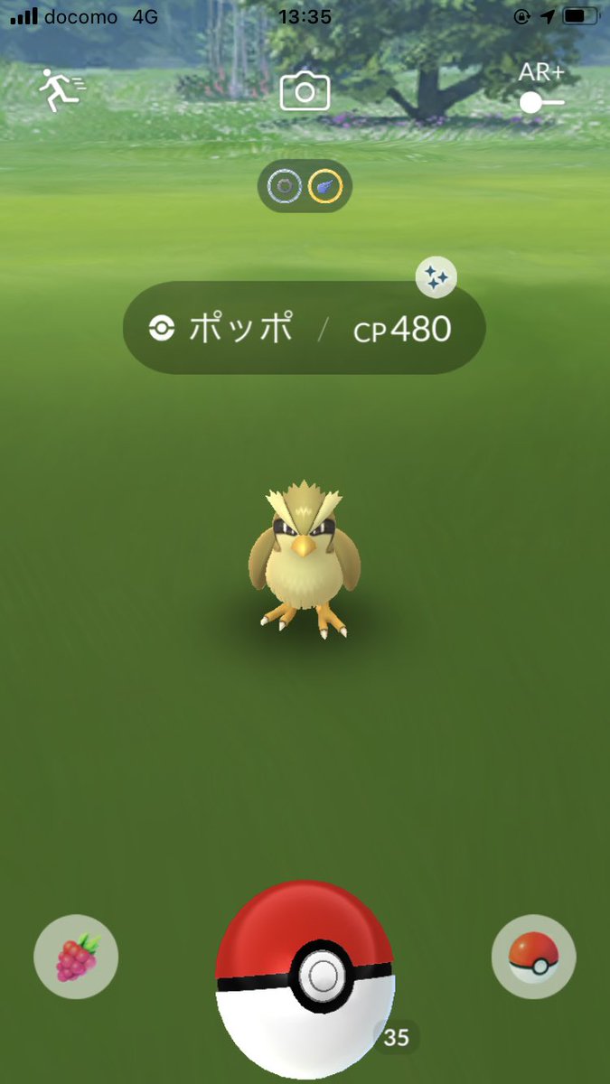 バンワドsp على تويتر ポケモンgo 色違いのポッポget