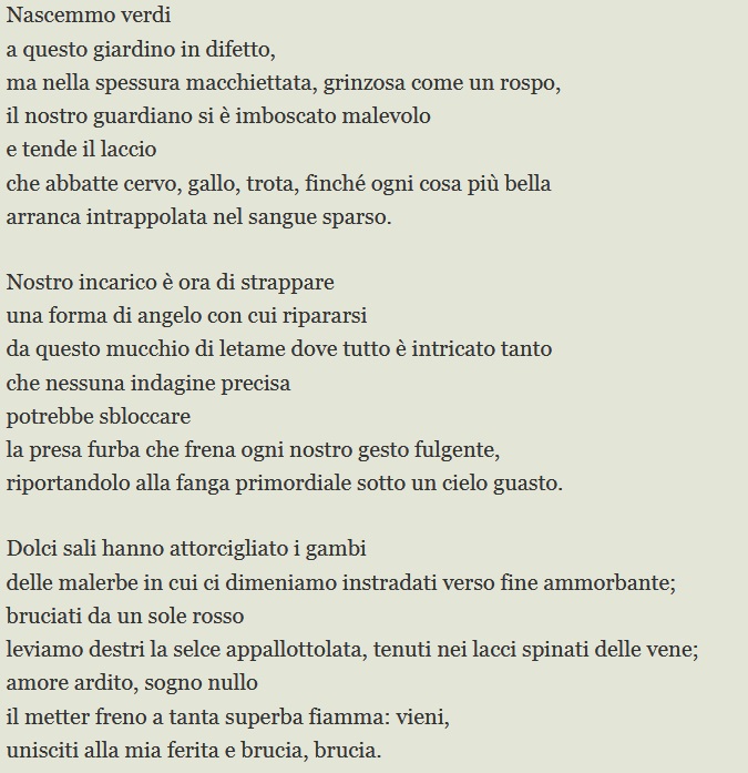 Antonio79B's tweet photo. Oggi nel 1963 moriva la scrittrice e poetessa #SylviaPlath, rileggiamo la sua #poesia CANTO DEL FUOCO.

#11febbraio. https://t.co/s9bwCUWV1a
