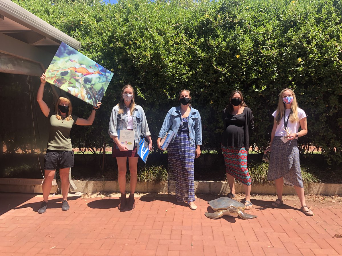 Five PhD’s, a seaturtle &amp; a seadragon walk (swim?) into a (sand?) bar….