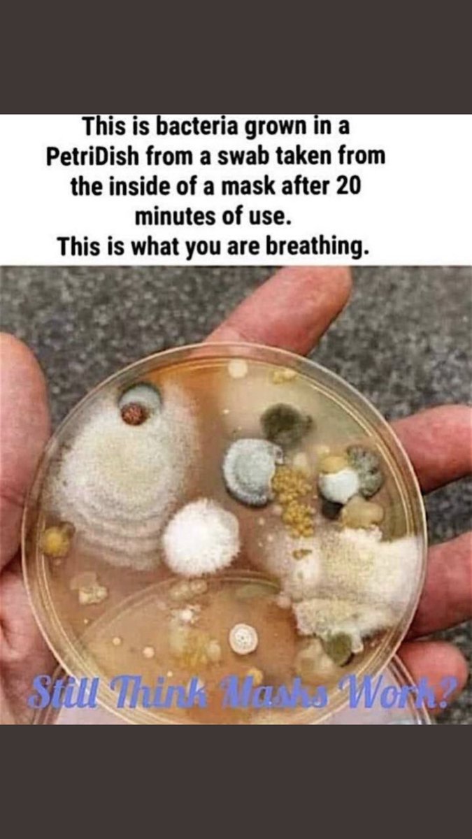 HeyHeiders's tweet image. @MichaelsStores masks do not prevent Covid in any documented way.  They do, however, prevent me from adding you to the list of store that will never get my money again. Furthermore teaching your employees to harass customers is wrong. #MasksDontWork #oxygenislife #mybodymyhealth