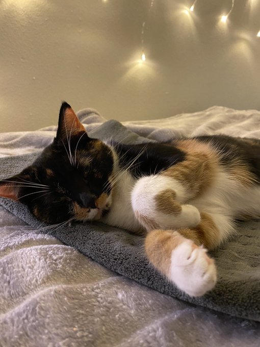 being evil is very tiring https://t.co/JzehErGkXg