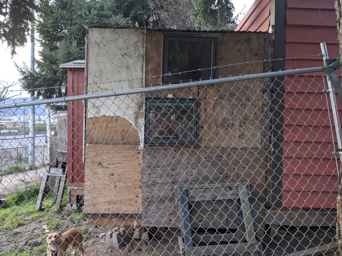 There is also a catio for her two catsThis is not something she could have at the St. John's village. That village has prefab units, all the same, close together