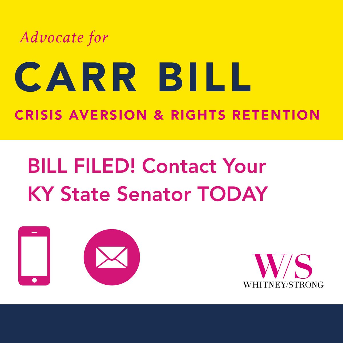 It's time to reach out to your KY State Senator to share your support for the Crisis Aversion and Rights Retention bill, SB229. We can't pass this KY gun violence prevention legislation without YOU.  whitneystrong.org/carr

#GunViolencePrevention #TogetherWeAct #KYGA21 #SB229