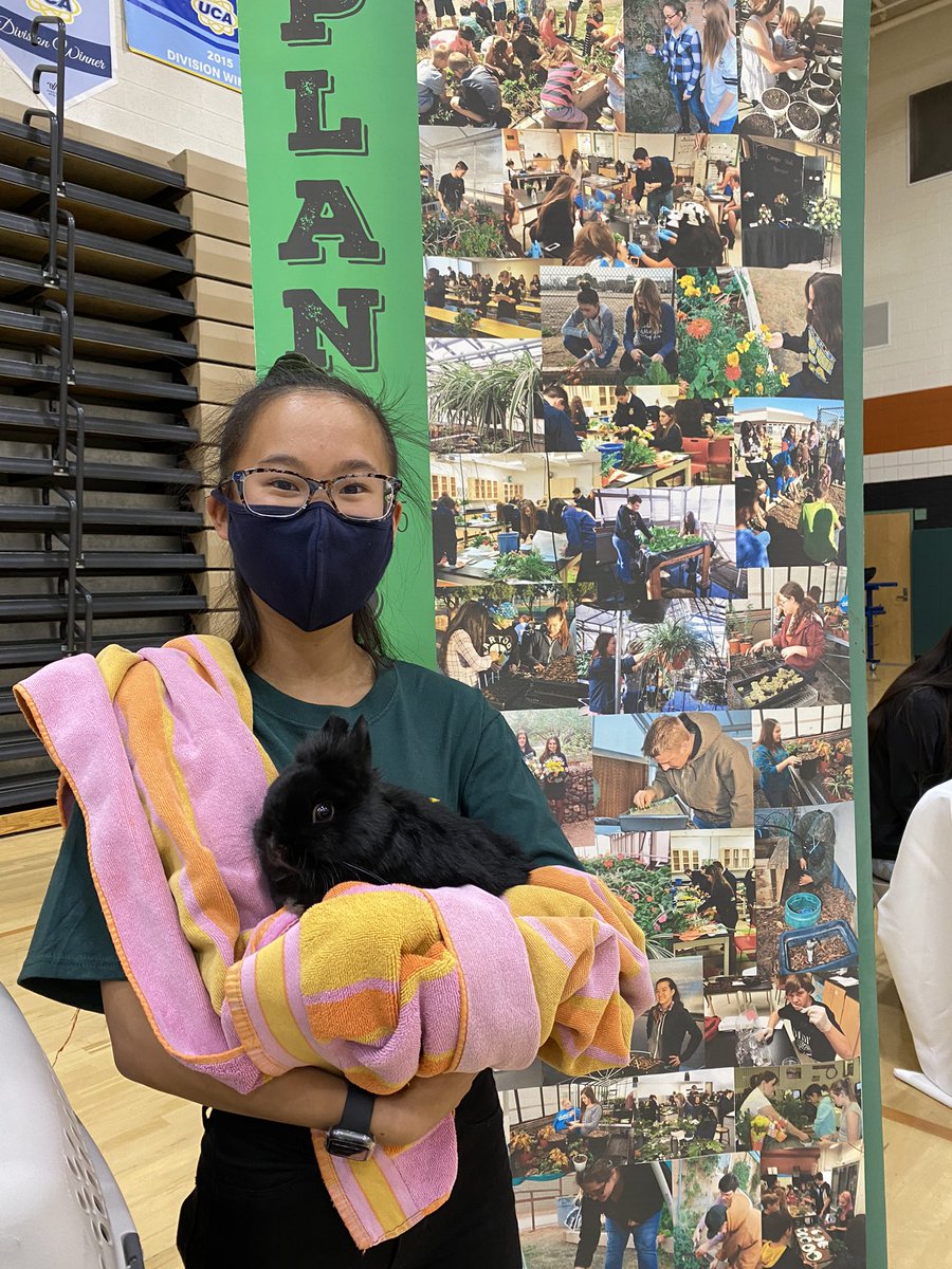 Krista Cox tweet media