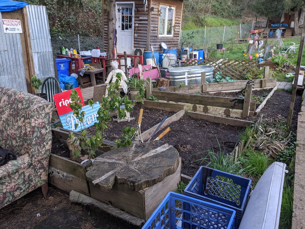 One of the residents shows us her impressive garden setup. All this hard work will be gone if the state decides to clear this camp. She shows us her strawberry patch, currently dormant. It's fantastic