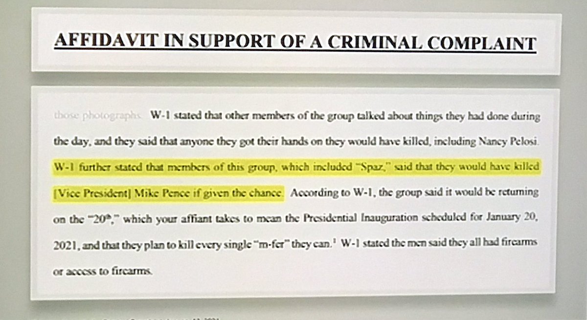 8. Premeditated MURDER: Rioters “would have KILLED  @VP45 if given the chance.” “Hang Mike Pence! Hang Mike Pence!” “We were looking for Nancy [Pelosi] to shoot her in the frigging brain but we didn’t find her.” “Nancy would have been torn into little pieces...”