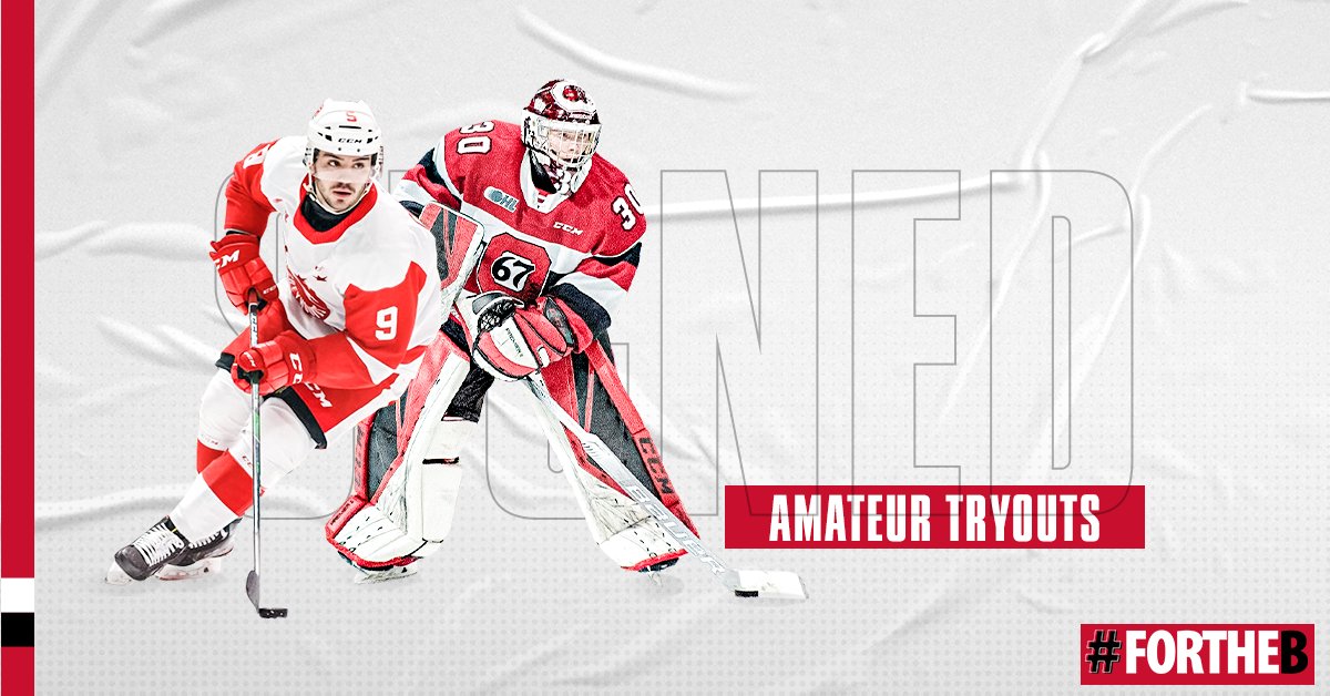 Belleville Senators tweet media