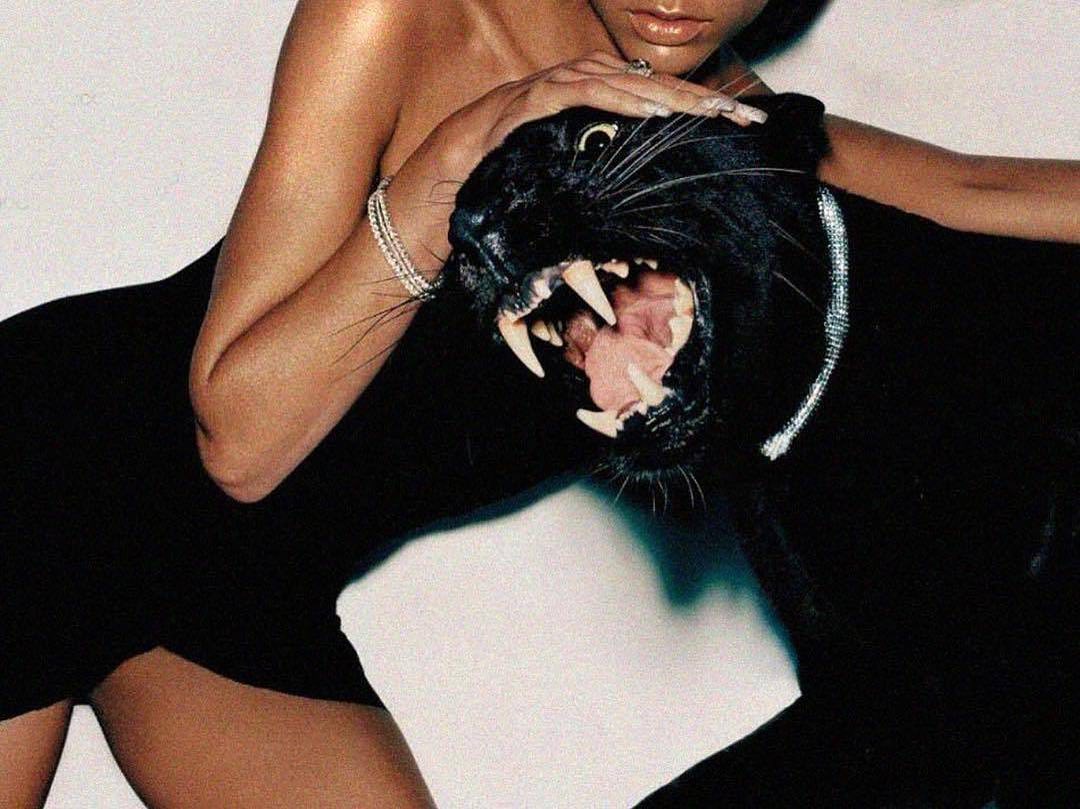 ARTIFAXING tweet media