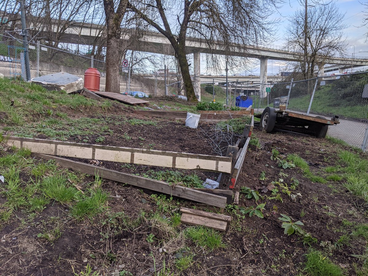 An unfinished garden plot at the edge of Hazelwood Grove. Work has stopped for now. What's the point, if they get swept?So many plans on hold. A new house. A windmill for power. Renovations of old structuresWhy?