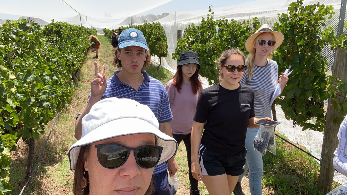 robertadebei's tweet image. Today I am teaching 60+ students how to measure #grapevine #canopies and use #VitiCanopy #SuperstarsofSTEM #science4all #February11 
@Scienceau @WomenScienceDay